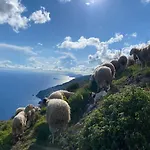 Miramare Аджерола