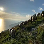 Miramare 3* Аджерола