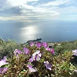Miramare Аджерола