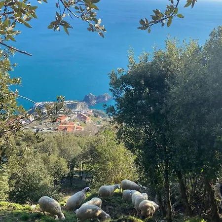 Bed & Breakfast Miramare