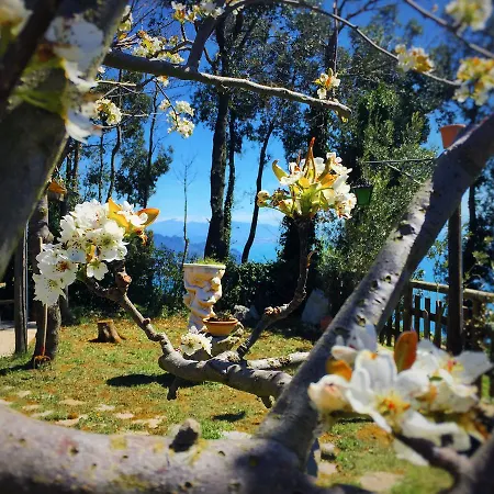Miramare 3*