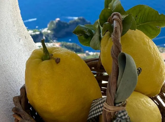 Miramare Frühstückspension