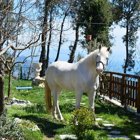 Miramare