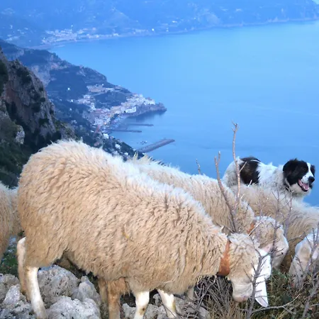 Bed & Breakfast Miramare