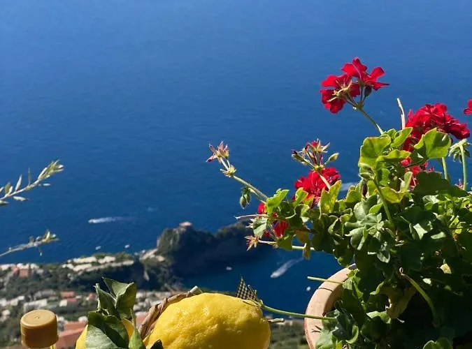 Miramare Отель типа 