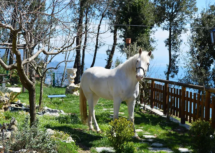 Miramare